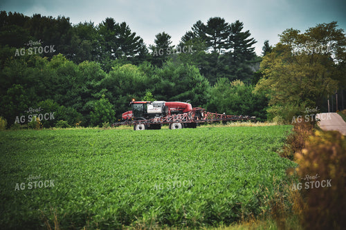 Spraying Soybeans 84115