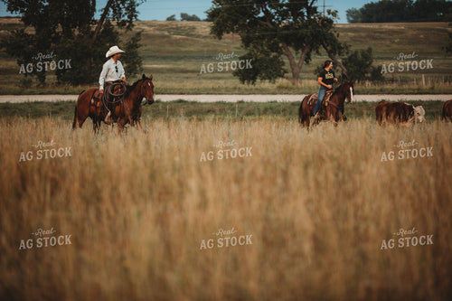 Ranchers and Cattle in Pasture 6452