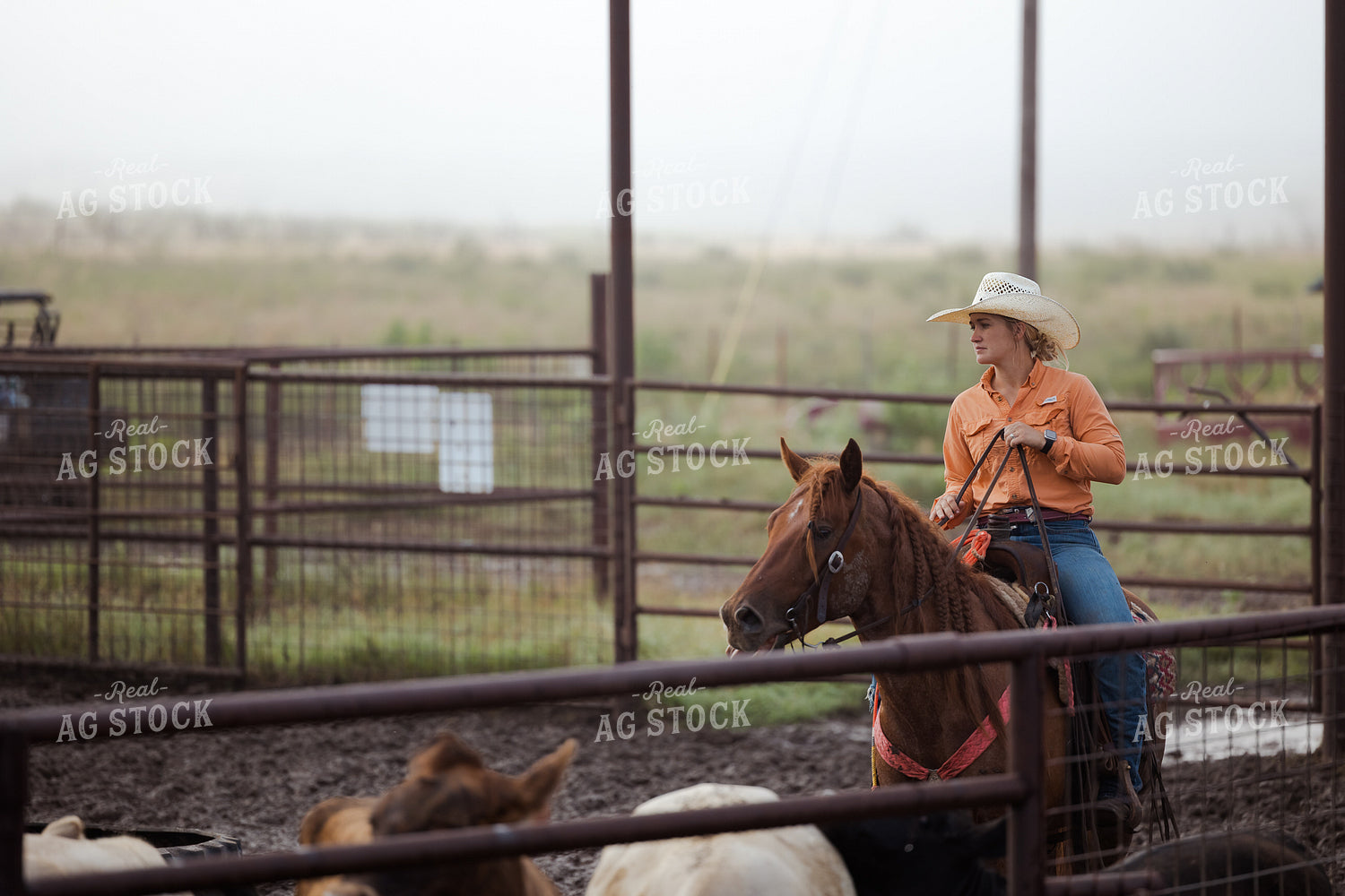Female Rancher Working Cattle 205070