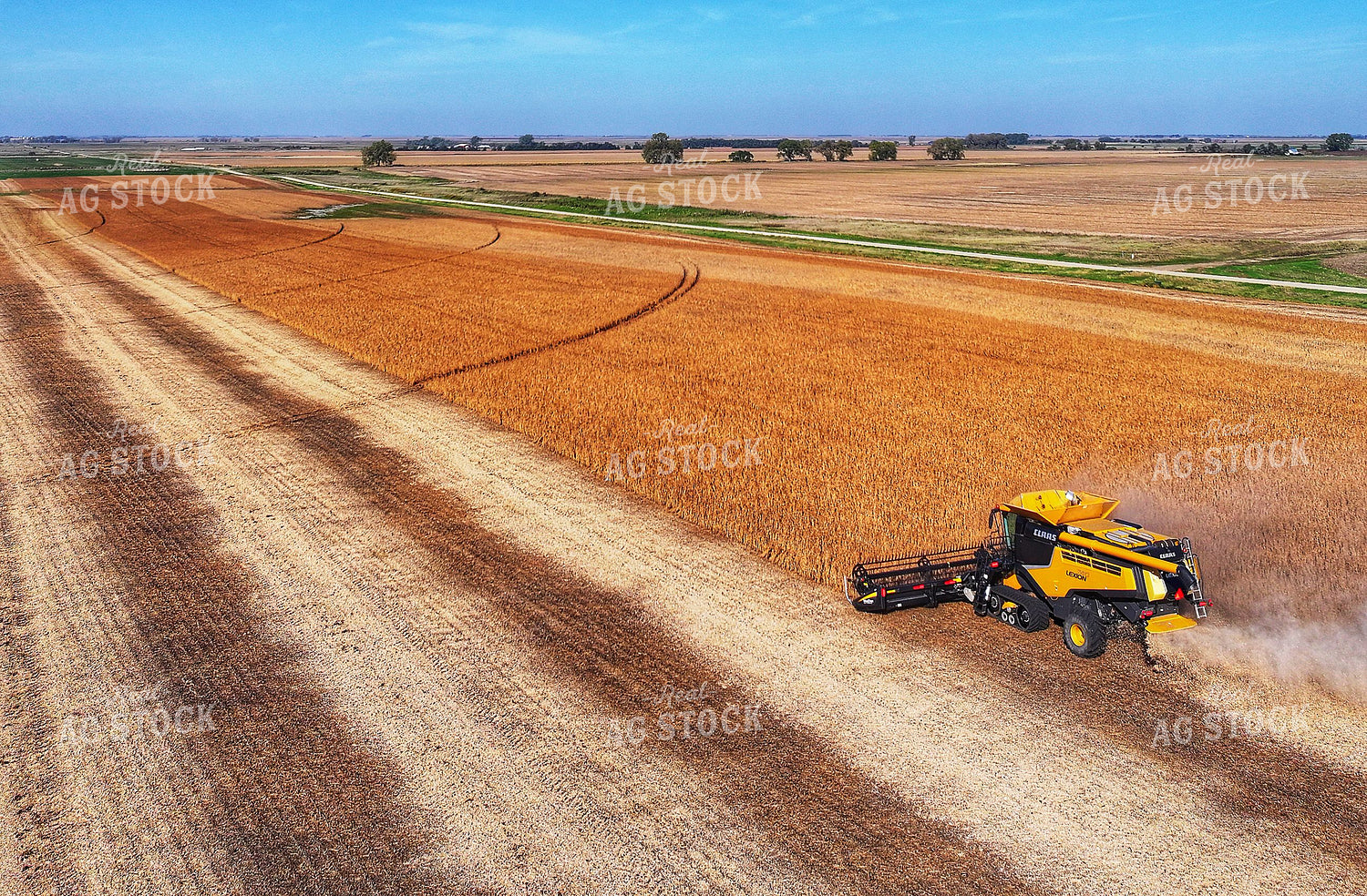 Soybean Harvest 141454