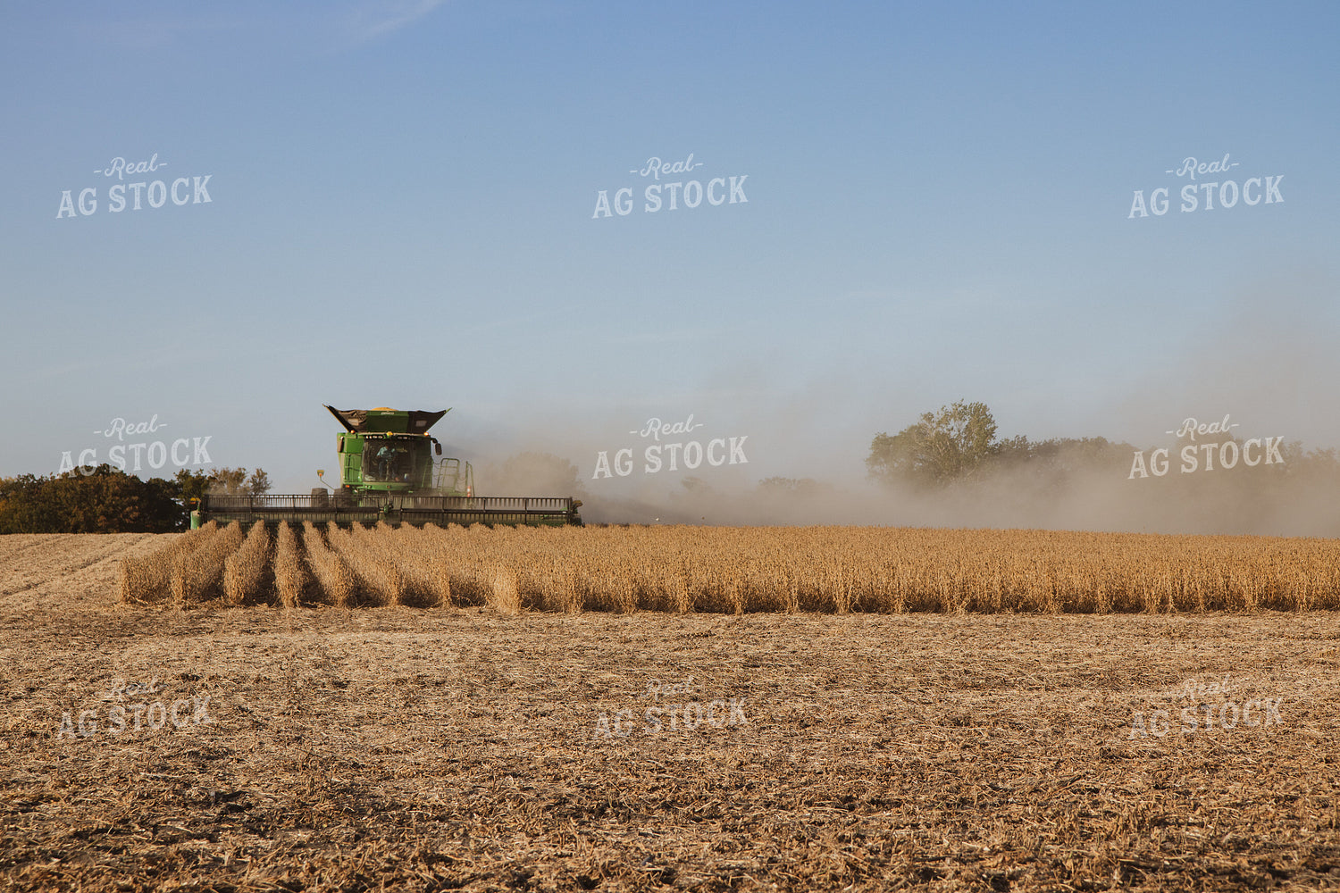 Soybean Harvest 67267