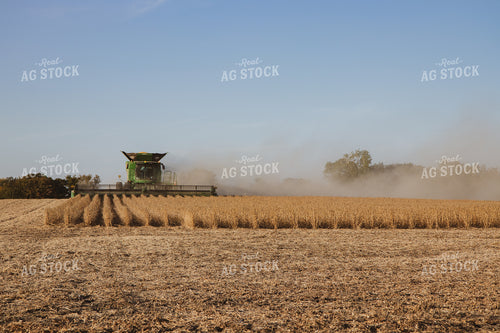Soybean Harvest 67267