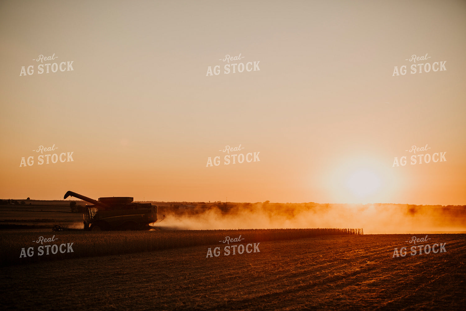 Harvest 2604