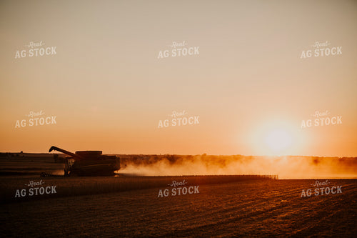 Harvest 2604