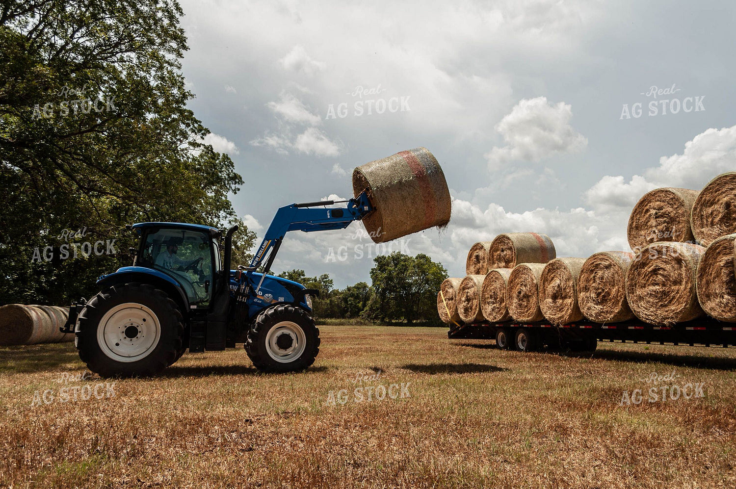 Loading Round Bale of Cornstalks 59025