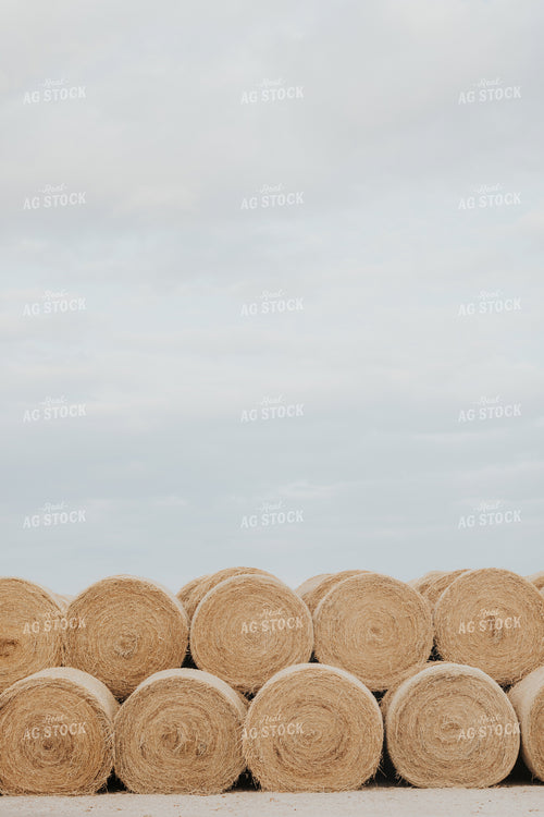 Round Hay Bales 254002