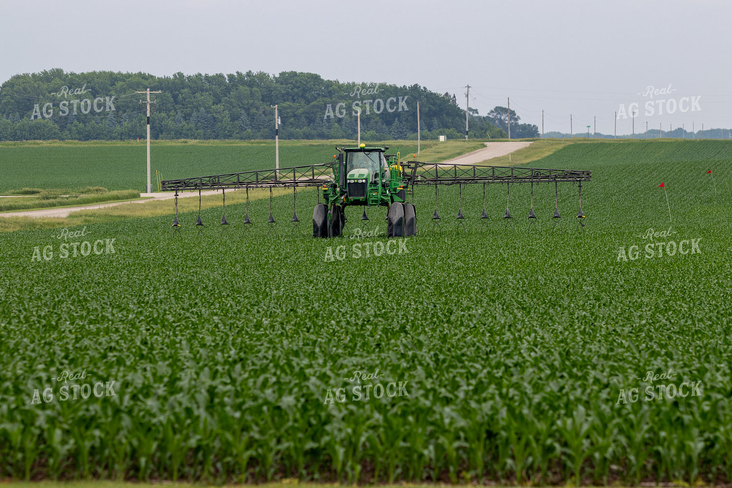 Spraying Corn 257019
