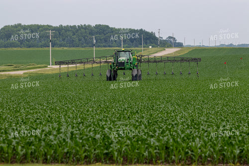 Spraying Corn 257019