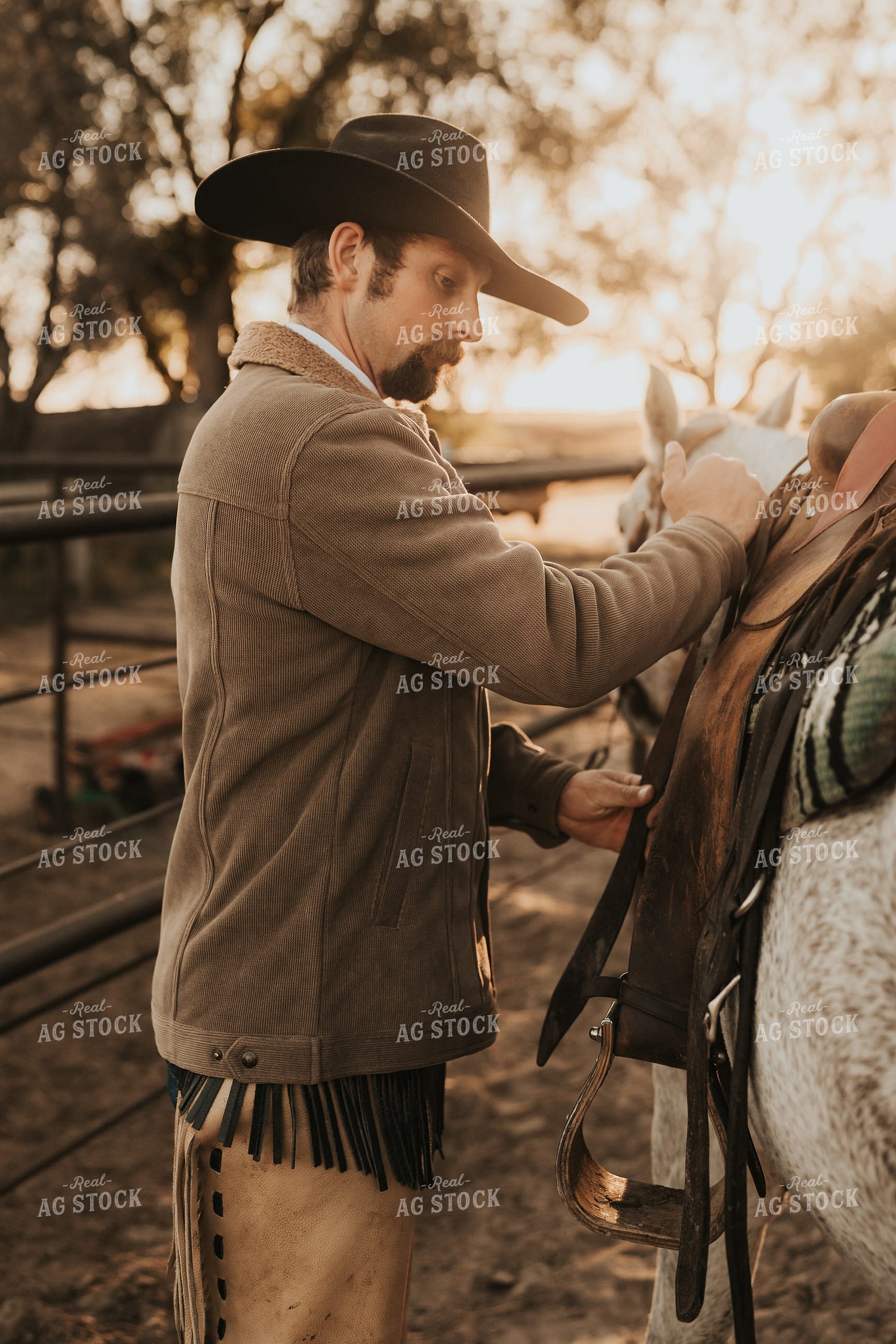 Cowboy Saddling Horse 61183