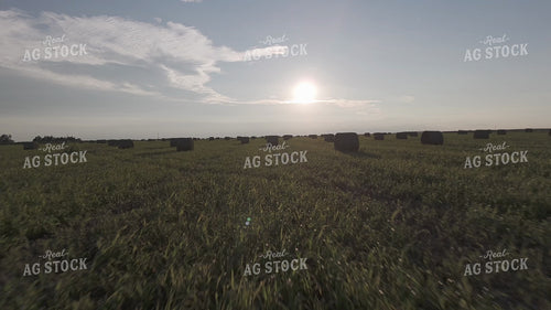 Round Bales in Field 239405