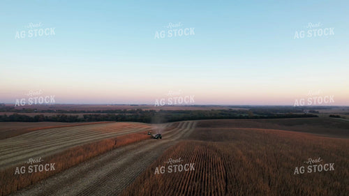 Soybean Harvest 65483