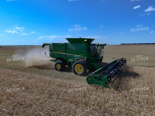 Wheat Harvest 239282
