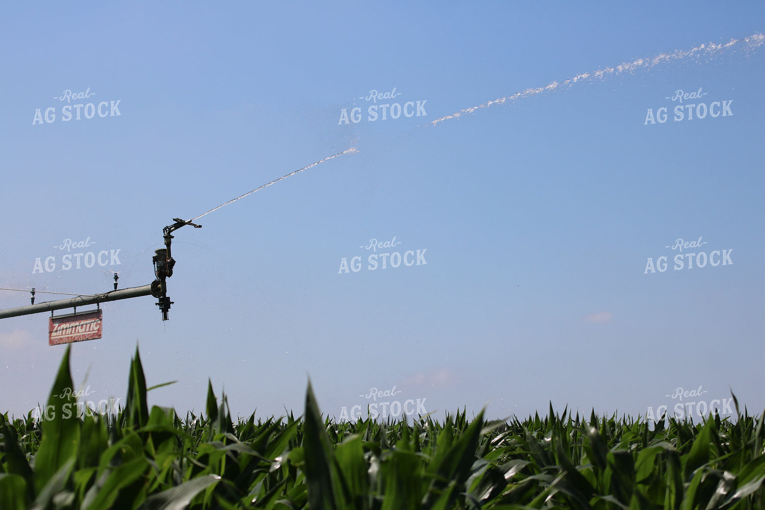Irrigation System in Corn Field 82082
