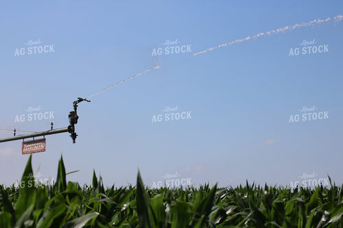 Irrigation System in Corn Field 82082