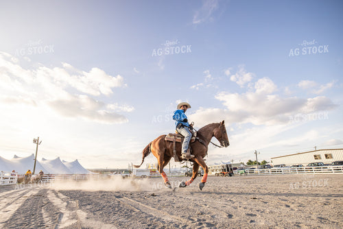 Equine Roping Show 270109