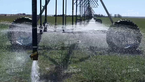 Pivot Irrigation on Wheat 190018