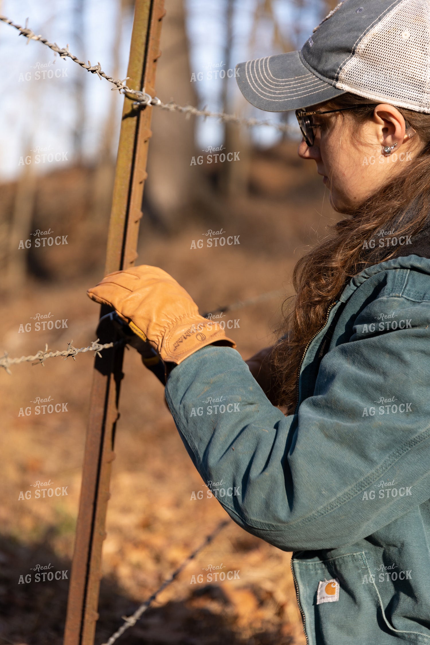 Putting Up Barbed Wire Fence 52276