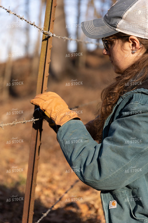 Putting Up Barbed Wire Fence 52276