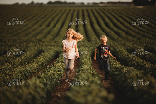 Farm Kids in Soybean Field 4574