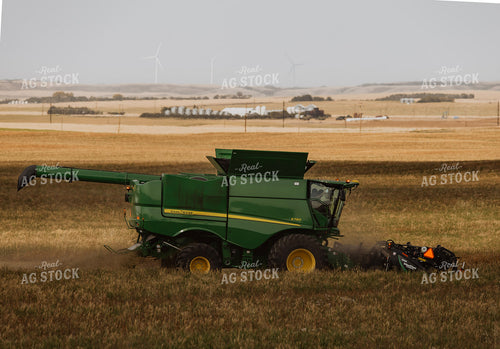 Canola Harvest 187237