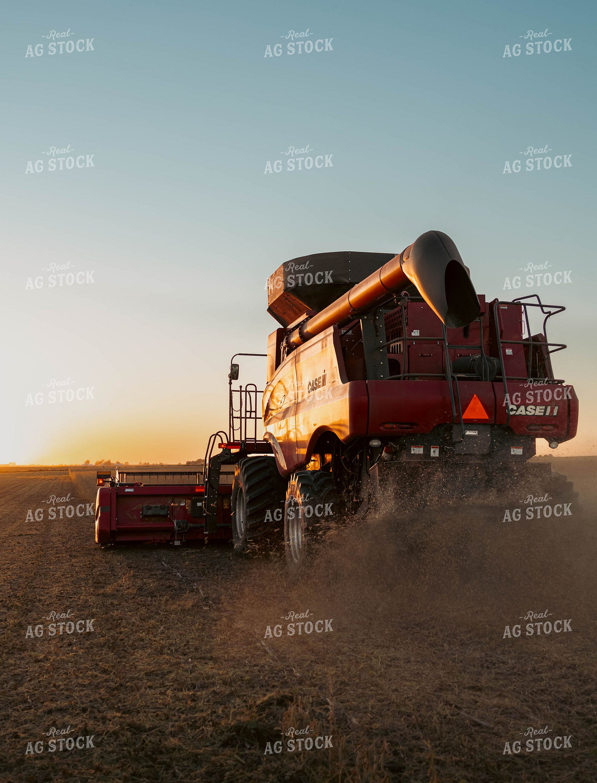Case IH Combine Harvesting Soybeans 409028