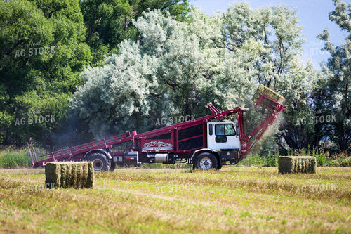 Picking Up Bales 81155