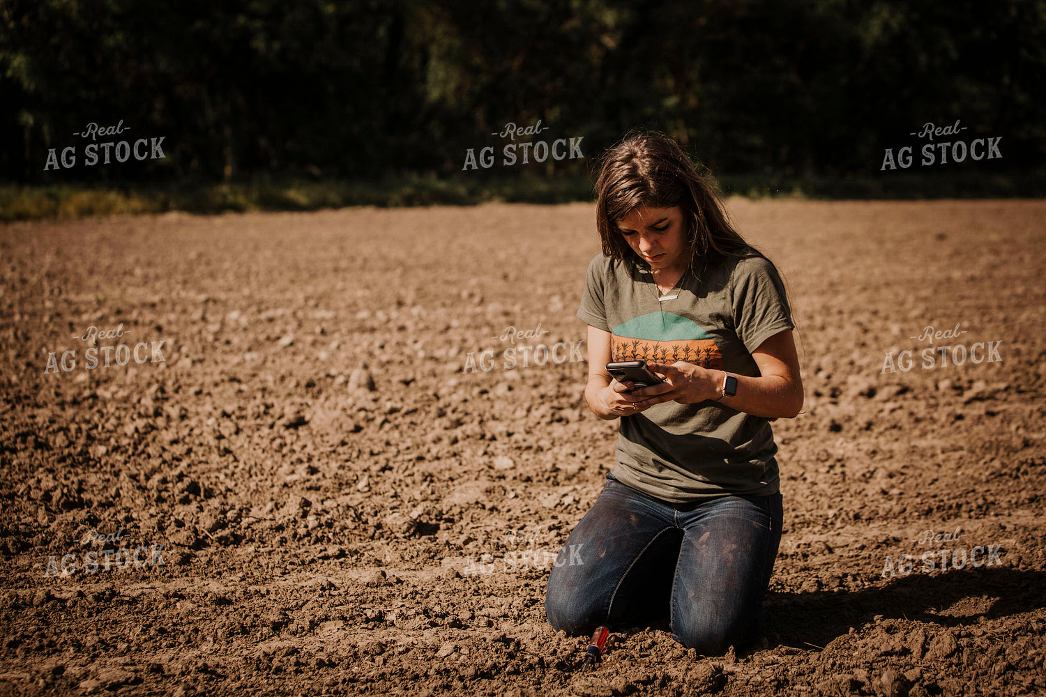 Planting 2764