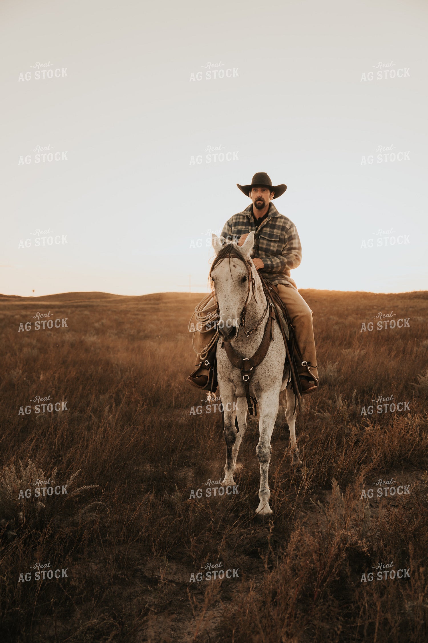 Cowboy Riding Horse 61206