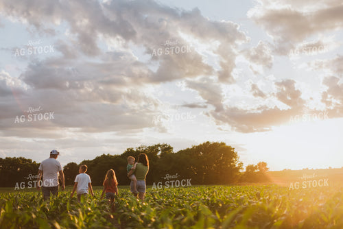 Farm Family Checking Corn 8819