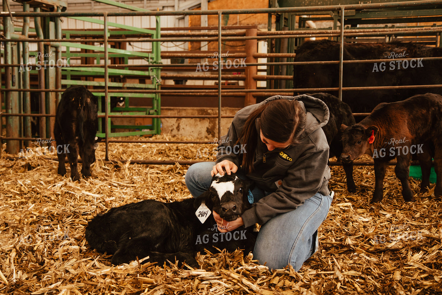 Female Farmer with Calf 67660