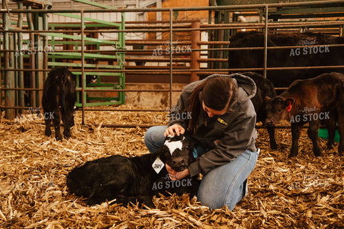 Female Farmer with Calf 67660