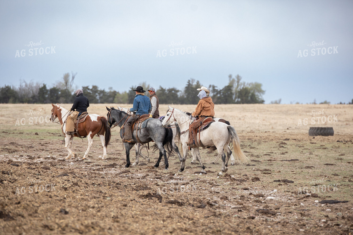 Rancher on Horseback 190004