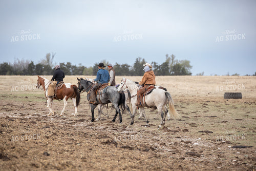 Rancher on Horseback 190004