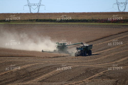 Wheat Harvest 82011