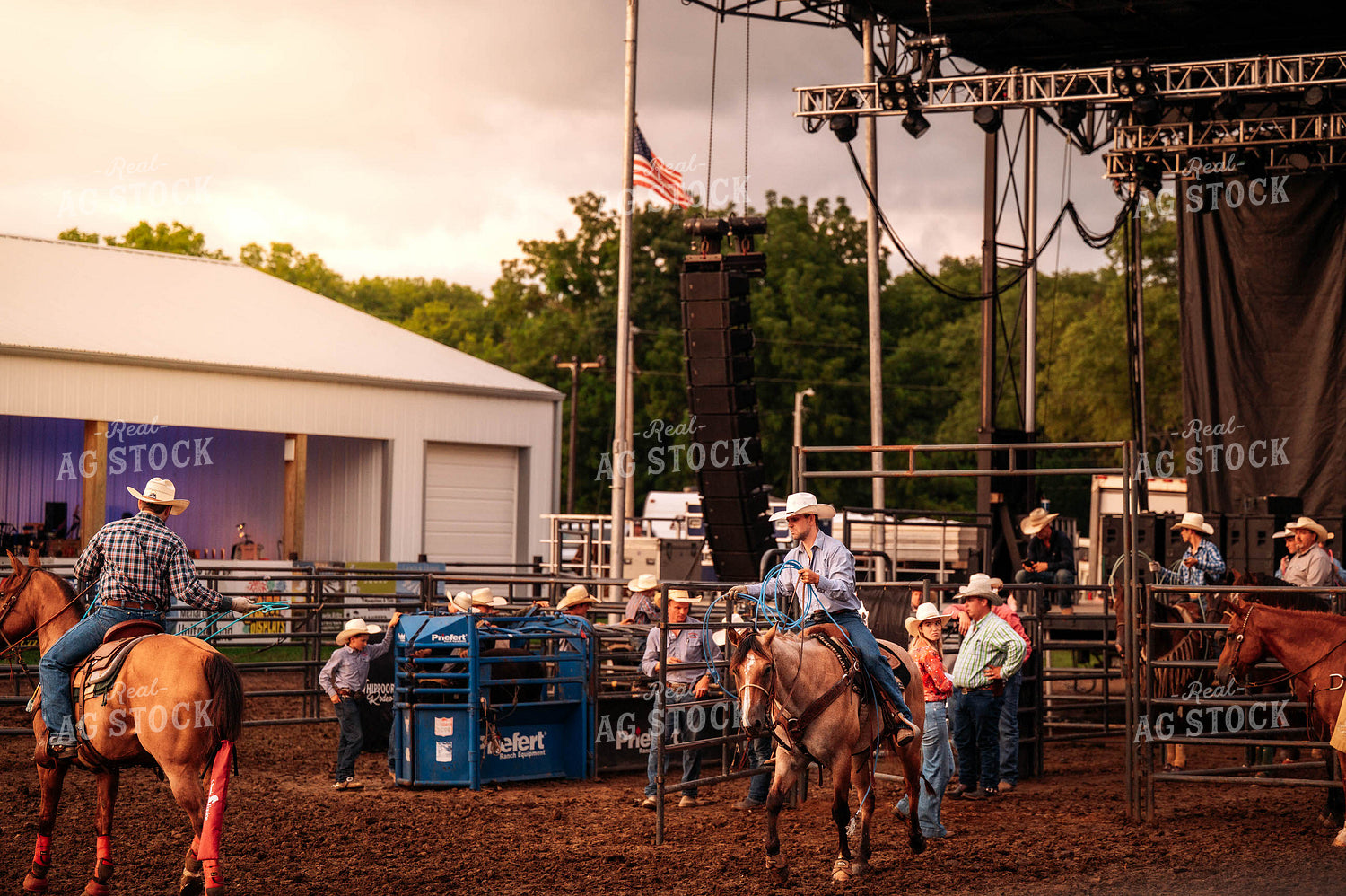 Rodeo 115791