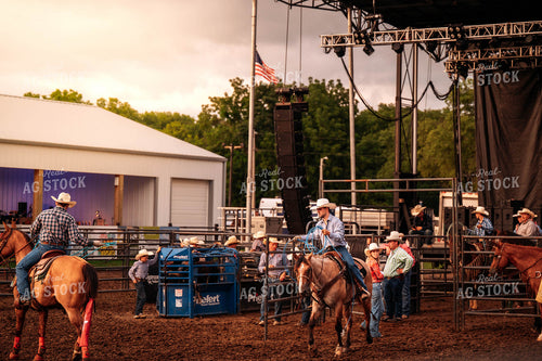 Rodeo 115791