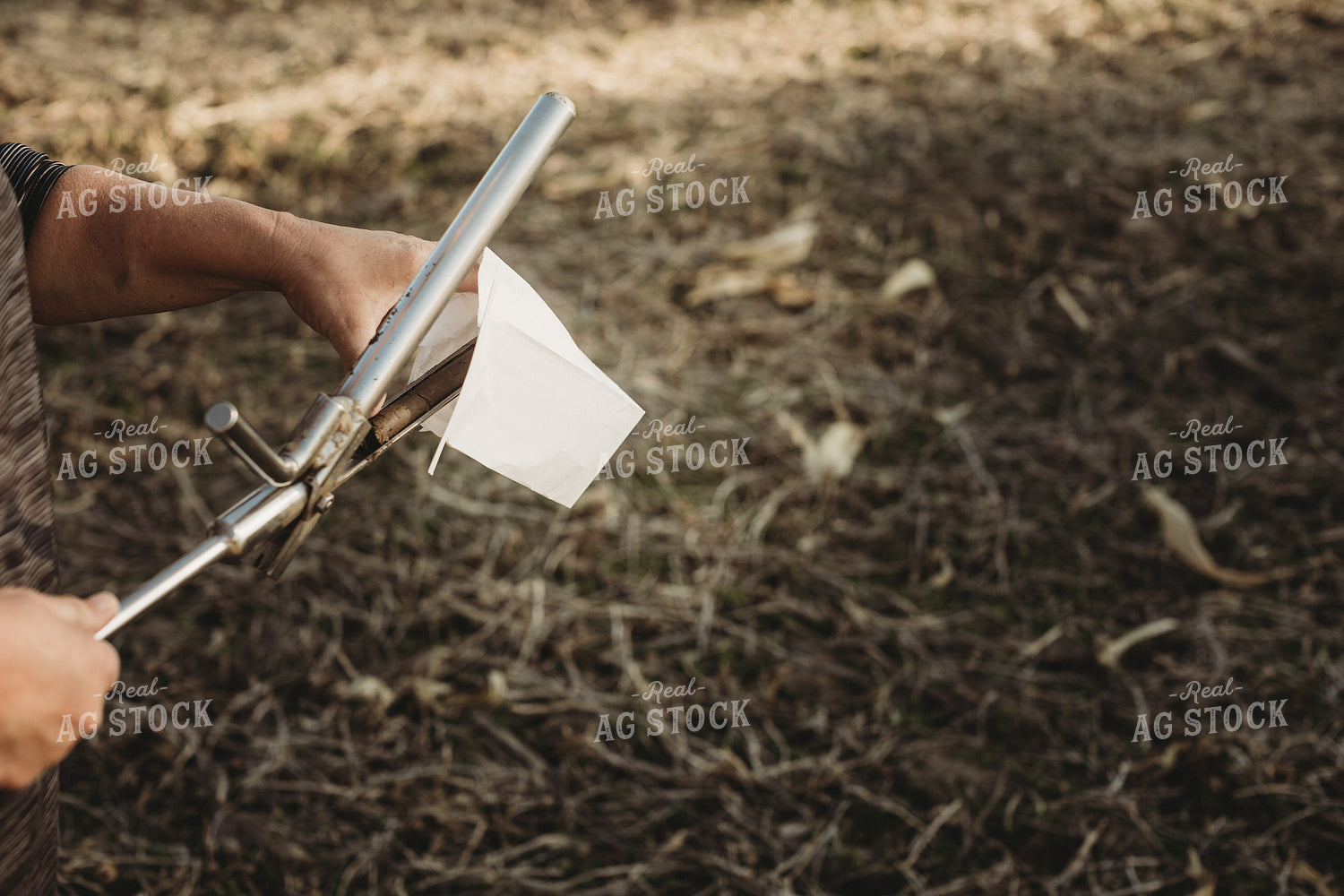 Farmer Putting Soil Core in Soil Sample Bag 3725
