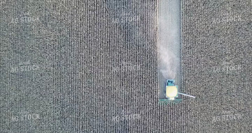 Overhead of Corn Harvest 250003