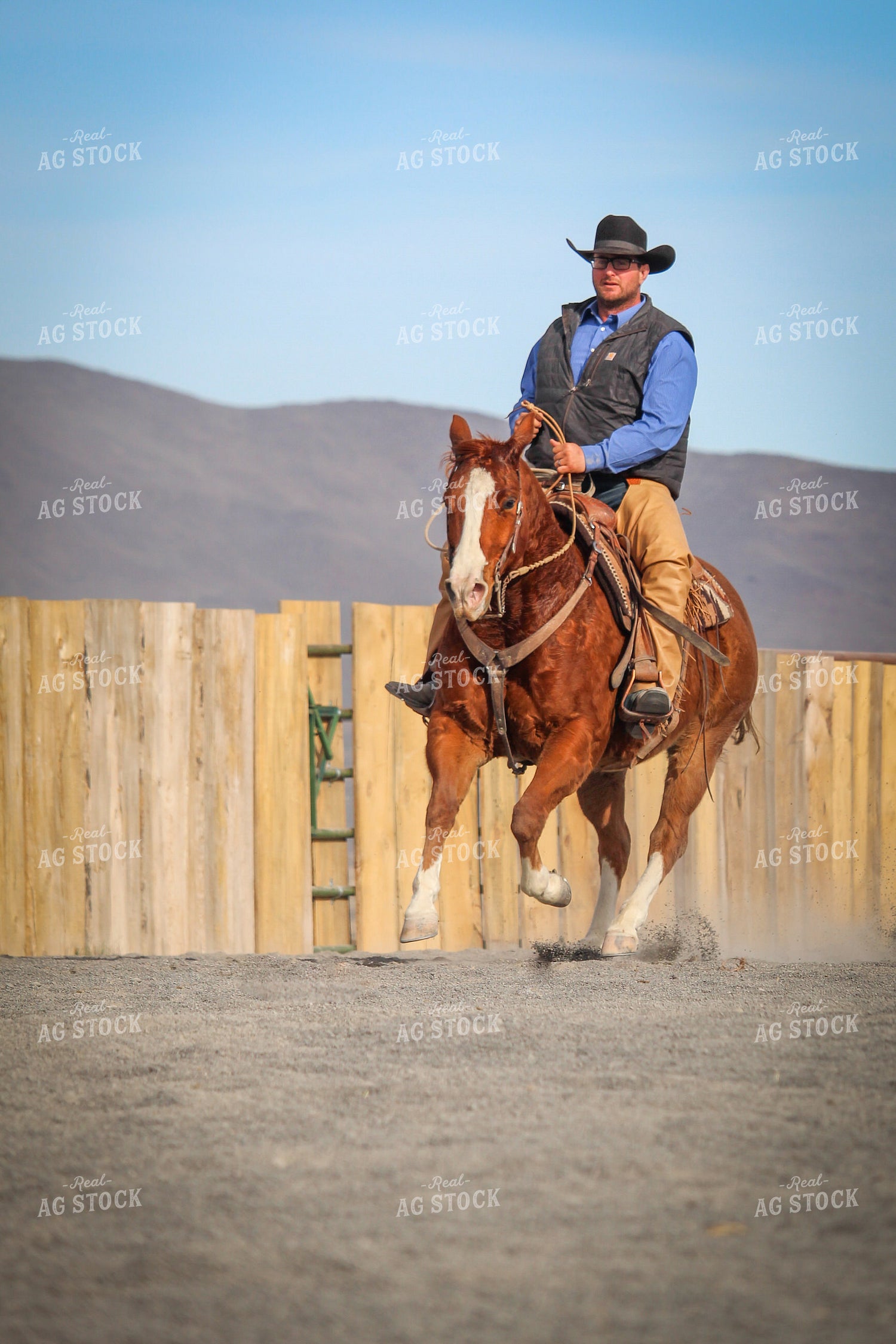 Male Rancher on Horse 78050
