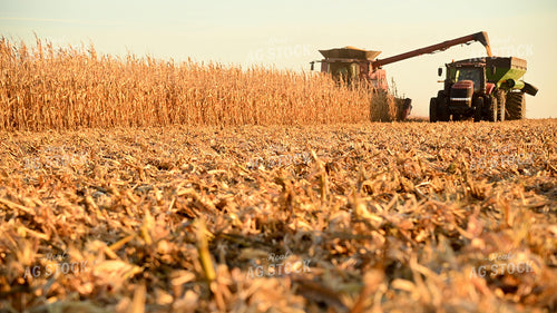 Combine Unloading Corn on the go into an Auger Wagon 25782