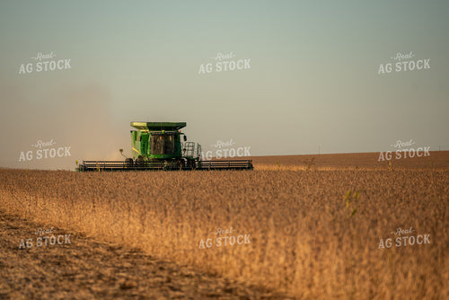 Soybean Harvest 274029