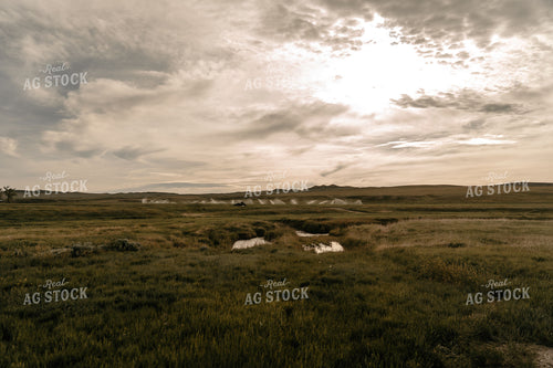Irrigation System in Pasture 58219