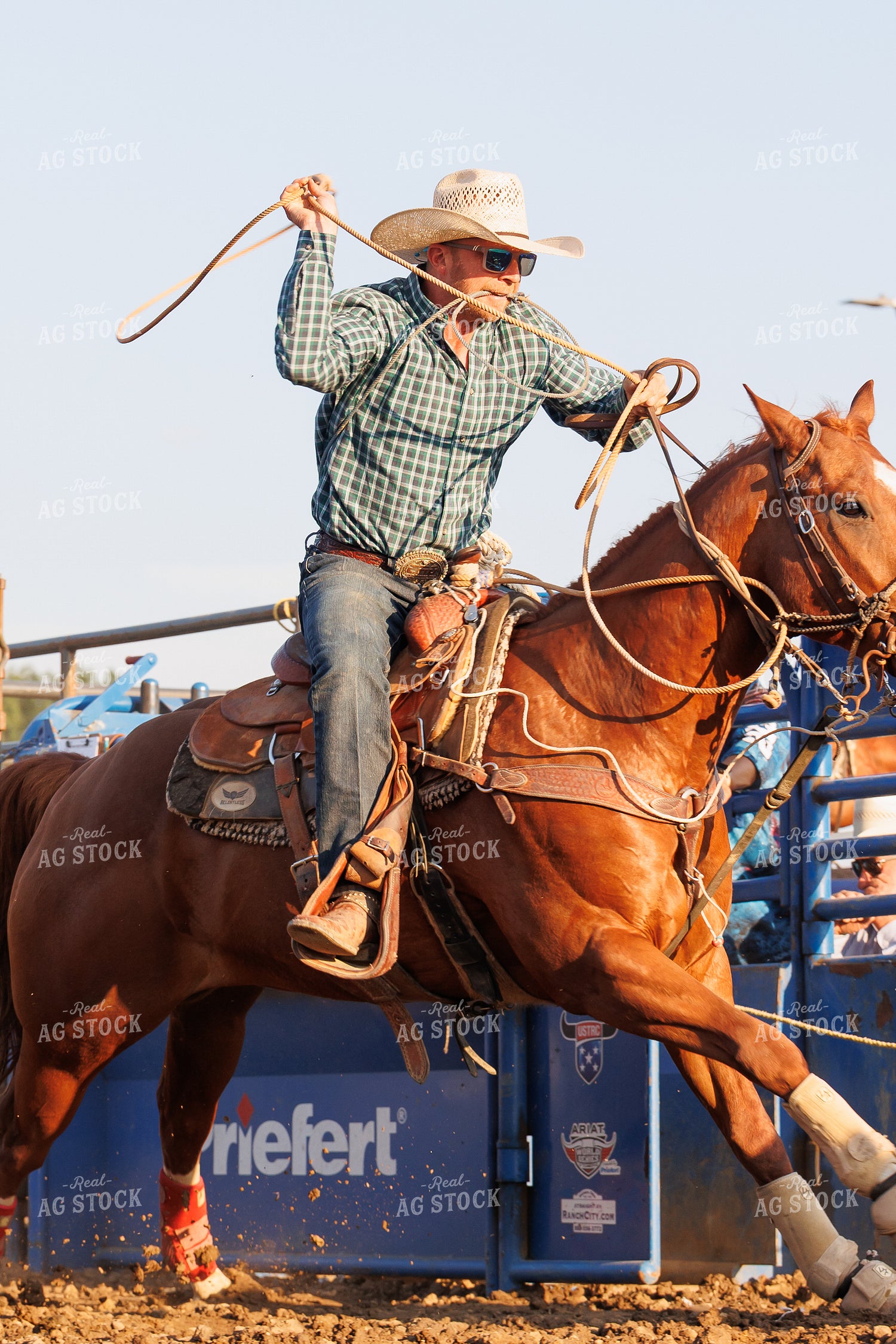 Rodeo 295146