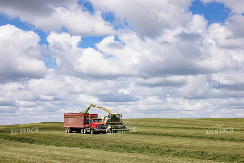 Harvesting Hay Silage 152458