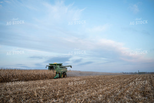 Corn Harvest 185071