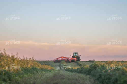 Tractor Cutting Alfalfa 72068
