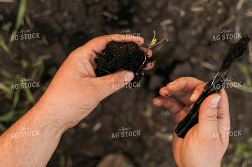 Farmer Scouting Sugar Beets 204003
