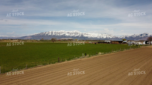 Pasture in the Foothills 130033