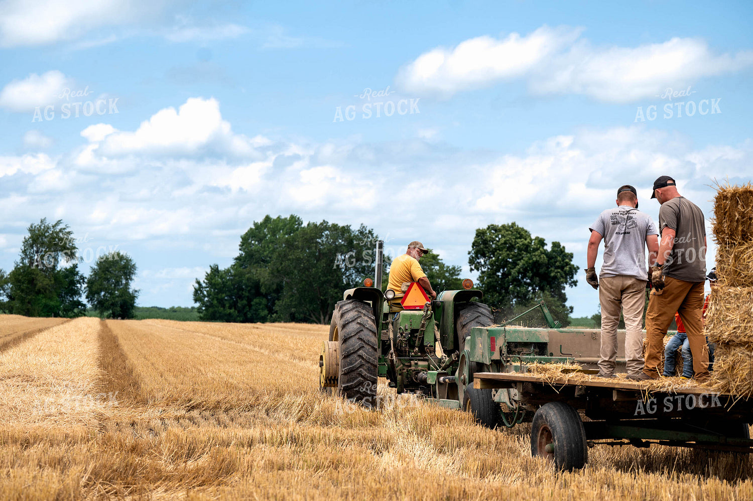 Baling Square Hay Bales 115804