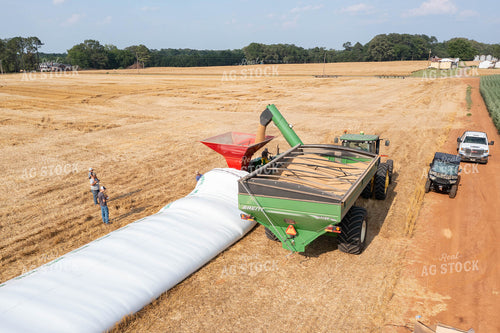 Soybean Harvest Flat Storage 79324